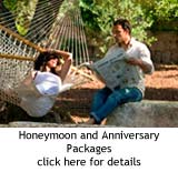 Honeymoon and Anniversaries Honeymoon and Anniversaries
