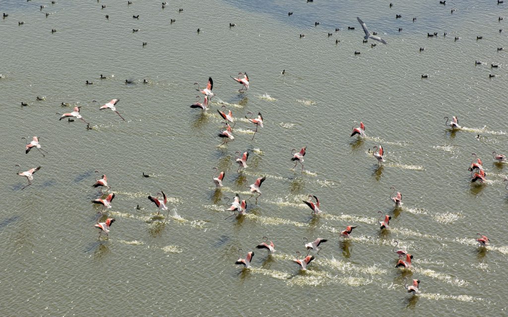 Vendicari Nature Reserve
