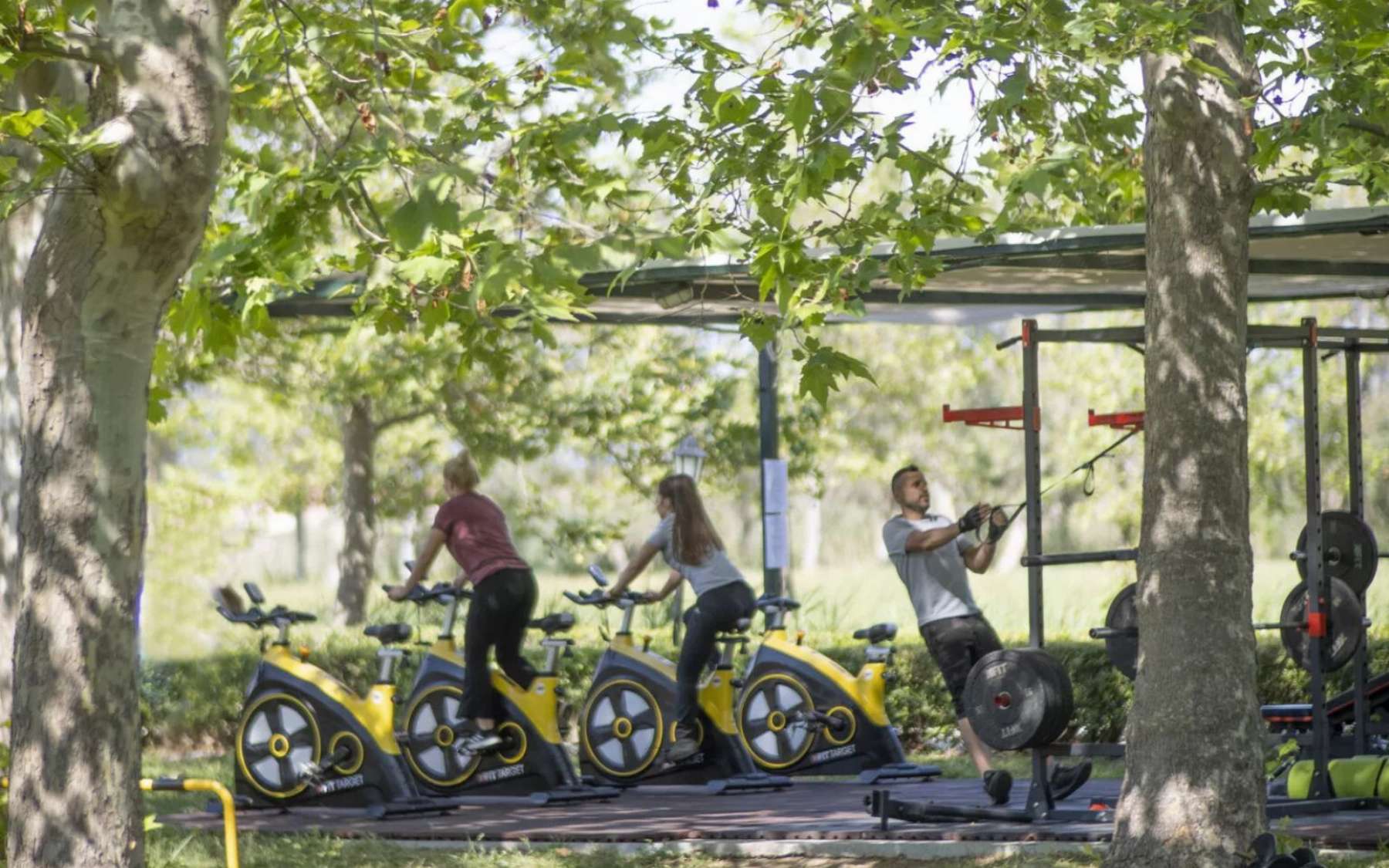Outdoor Gym